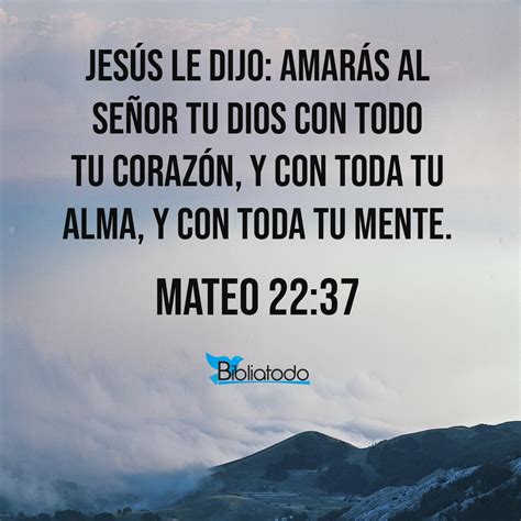 Mateo 22 FSV .